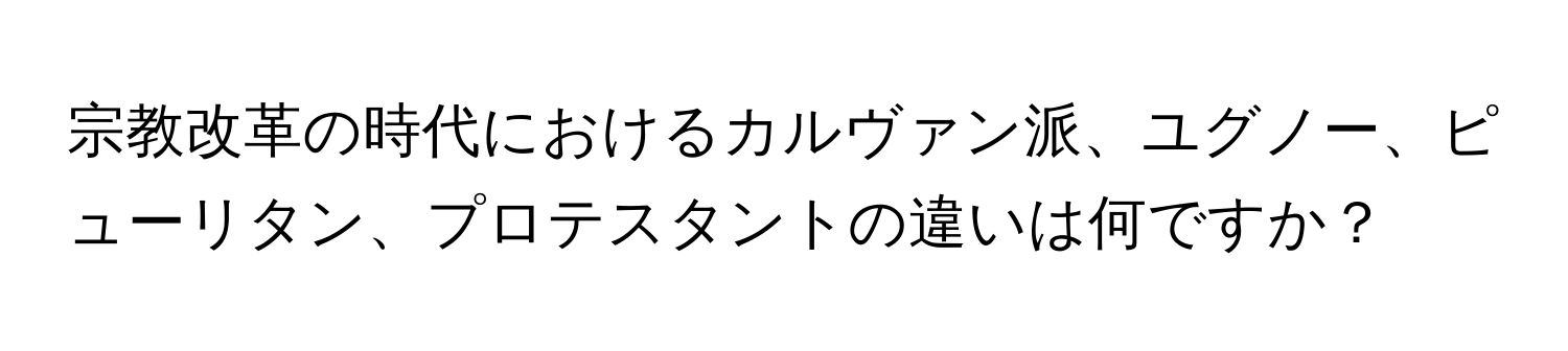 宗教改革の時代におけるカルヴァン派、ユグノー、ピューリタン、プロテスタントの違いは何ですか？