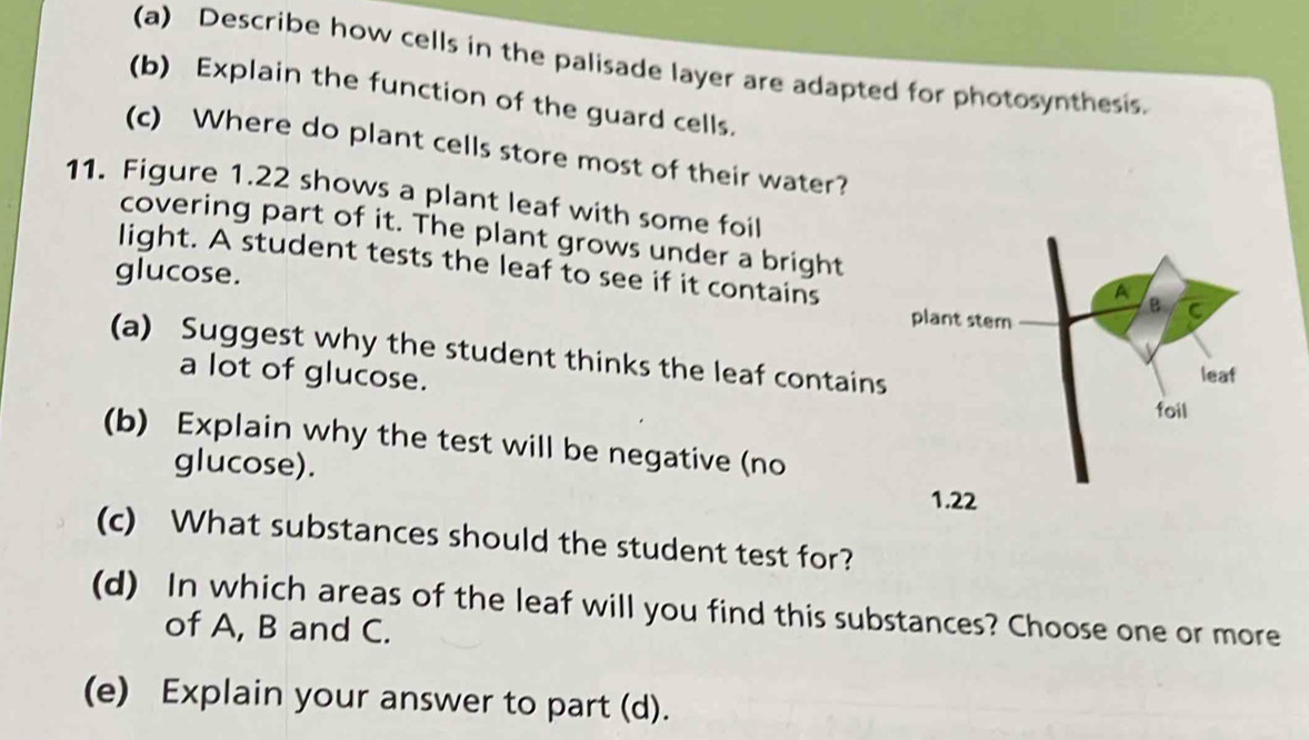 Describe how cells in the palisade layer are adapted for photosynthesis. 
(b) Explain the function of the guard cells. 
(c) Where do plant cells store most of their water? 
11. Figure 1.22 shows a plant leaf with some foil 
covering part of it. The plant grows under a bright 
light. A student tests the leaf to see if it contains 
glucose. 
(a) Suggest why the student thinks the leaf contains 
a lot of glucose. 
(b) Explain why the test will be negative (no 
glucose). 
(c) What substances should the student test for? 
(d) In which areas of the leaf will you find this substances? Choose one or more 
of A, B and C. 
(e) Explain your answer to part (d).