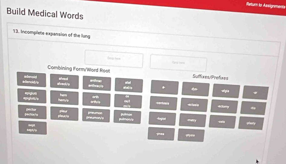Return to Assignments 
Build Medical Words 
13. Incomplete expansion of the lung 
Demp hame Egop hws 
Combining Form/Word Root Suffixes/Prefixes 
adenold alveol anthrac atel 
adenoid/o alveol/o anthrac/o atel/o dys- -algia 
epiglott hem orth ox 
epiglott/o hem/o orth/o 0x/1 -centesis -ectasis -ectomy -itis 
ox/o 
pector pleur pneumon 
pector/o pleur/o pneumon/o pulmon/o pulmon -logist -metry -osis -plasty 
sept 
sept/o -pnea -ptysis