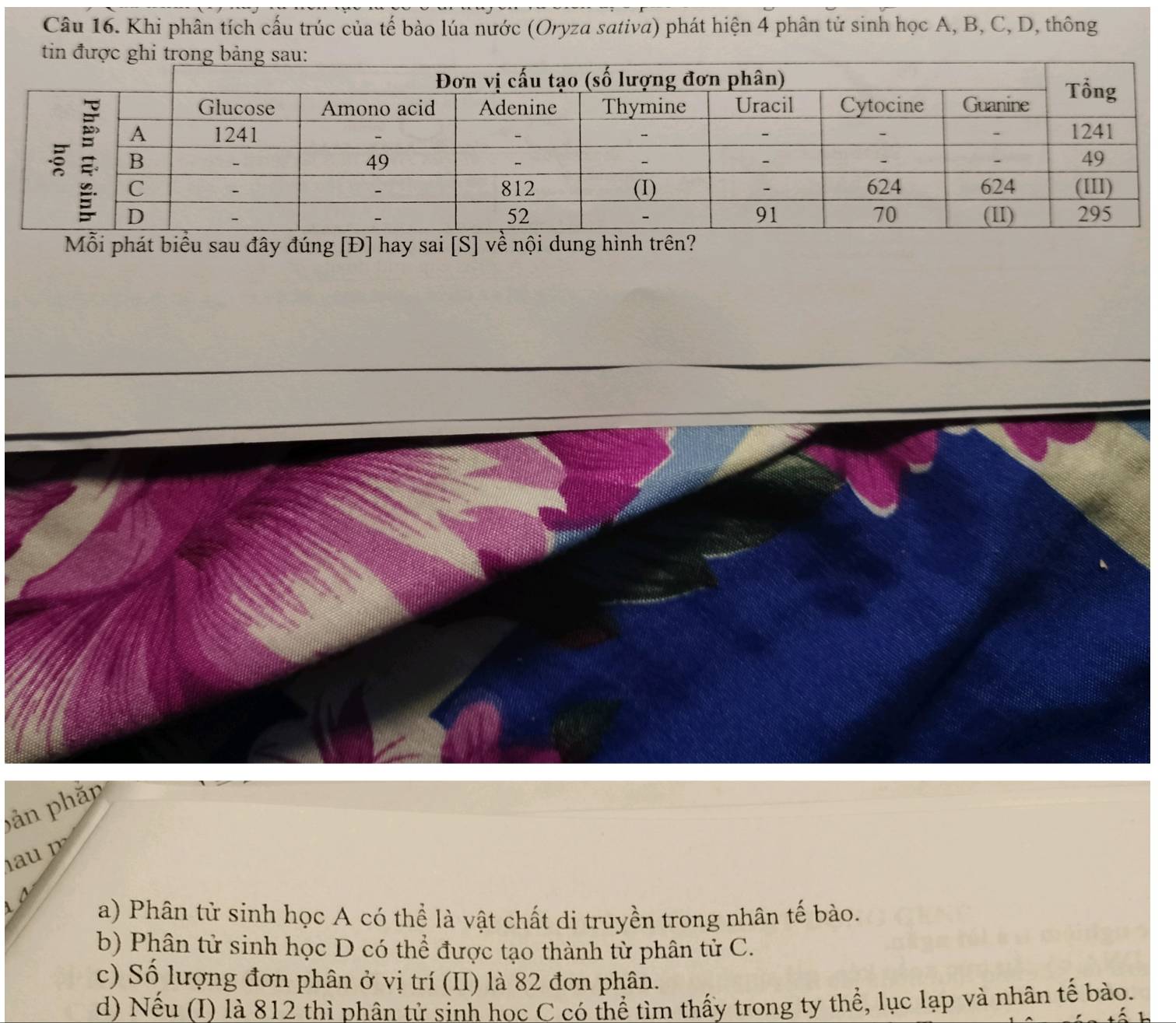 Khi phân tích cấu trúc của tế bào lúa nước (Oryza sativa) phát hiện 4 phân tử sinh học A, B, C, D, thông
Mỗi phát biểu sau đây đúng [Đ] hay sai [S] về nội dung hình trên?
bản phầp
a 
a
a) Phân tử sinh học A có thể là vật chất di truyền trong nhân tế bào.
b) Phân tử sinh học D có thể được tạo thành từ phân tử C.
c) Số lượng đơn phân ở vị trí (II) là 82 đơn phân.
d) Nếu (I) là 812 thì phân tử sinh học C có thể tìm thấy trong ty thể, lục lạp và nhân tế bào.