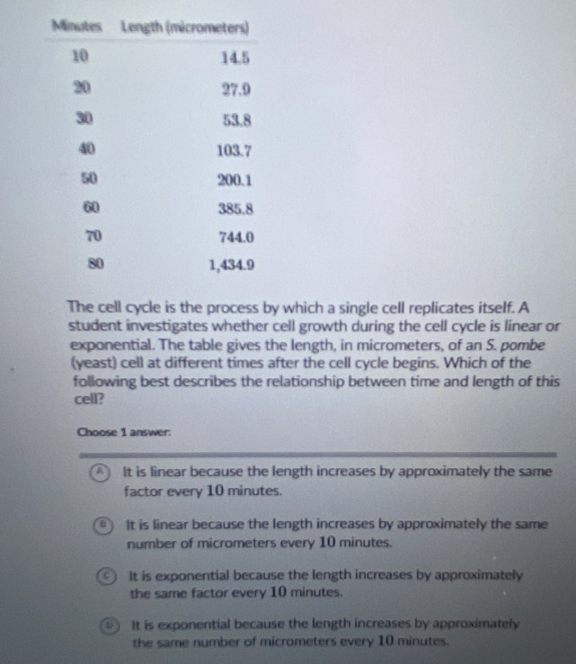 The cell cycle is the process by which a single cell replicates itself. A
student investigates whether cell growth during the cell cycle is linear or
exponential. The table gives the length, in micrometers, of an S. pombe
(yeast) cell at different times after the cell cycle begins. Which of the
following best describes the relationship between time and length of this
cell?
Choose 1 answer:
A It is linear because the length increases by approximately the same
factor every 10 minutes.
It is linear because the length increases by approximately the same
number of micrometers every 10 minutes.
It is exponential because the length increases by approximately
the same factor every 10 minutes.
D It is exponential because the length increases by approximately
the same number of micrometers every 10 minutes.