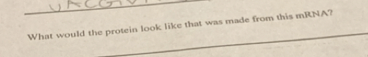 What would the protein look like that was made from this mRNA?