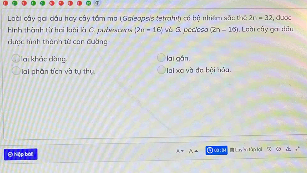 Loài cây gai dầu hay cây tầm ma (Galeopsis tetrahit) có bộ nhiễm sắc thể 2n=32 , được
hình thành từ hai loài là G. pubescens (2n=16) và G. peciosa (2n=16). Loài cây gai dầu
được hình thành từ con đường
lai khác dòng. lai gần.
lai phân tích và tự thụ. lai xa và đa bội hóa.
0 0:0
Nộp bài! Luyện tập lại