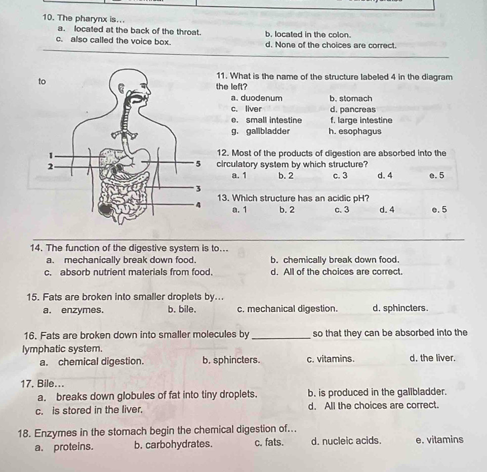 The pharynx is...
a. located at the back of the throat. b. located in the colon.
c. also called the voice box. d. None of the choices are correct.
t
11. What is the name of the structure labeled 4 in the diagram
the left?
a. duodenum b. stomach
c. liver d. pancreas
e. small intestine f. large intestine
g. gallbladder h. esophagus
12. Most of the products of digestion are absorbed into the
circulatory system by which structure?
a. 1 b. 2 c. 3 d. 4 e. 5
13. Which structure has an acidic pH?
a. 1 b. 2 c. 3 d. 4 e. 5
14. The function of the digestive system is to...
a. mechanically break down food. b. chemically break down food.
c. absorb nutrient materials from food. d. All of the choices are correct.
15. Fats are broken into smaller droplets by...
a. enzymes. b. bile. c. mechanical digestion. d. sphincters.
16. Fats are broken down into smaller molecules by _so that they can be absorbed into the
lymphatic system.
a. chemical digestion. b. sphincters. c. vitamins. d. the liver.
17. Bile...
a. breaks down globules of fat into tiny droplets. b. is produced in the gallbladder.
c. is stored in the liver. d. All the choices are correct.
18. Enzymes in the stomach begin the chemical digestion of..
a. proteins. b. carbohydrates. c. fats. d. nucleic acids. e. vitamins