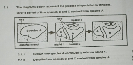Solved: 2.1 The diagrams below represent the process of speciation in ...