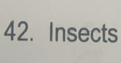 Insects