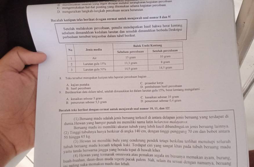 # merumuskan sasaran yang ingin dicapai melalui serangkaian kegiatan percobaan
C. mengemukakan hal-hal penting yang ditemukan selama kegiatan percobaan
D menguraikan langkah-langkah percobaan secara berurutan
Bacalah kutipan teks berikut dengan cermat untuk menjawab soal nomor 8 dan 9!
Setelah melakukan percobaan, penulis mendapatkan hasil bahwa berat kentang
sebelum dimasukkan kedalam larutan dan sesudah dimasukkan berbeda.Deskripsi
perbedaan tersebut tergambar dalam tabel berikut.
8 Teks tersebut merupakan kutipan teks laporan percobaan bagian
A. kajian pustaka C. prosedur kerja
B. hasil percobaan D. pembahasan hasil percobaan
9 Berdasarkan data dalam tabel, setelah dimasukkan ke dalam larutan gula 15%, berat kentang mengalami
A. kenaikan sebesar 5 gram C. kenaikan sebesar 35 gram
B. penurunan sebesar 5,3 gram D. penurunan sebesar 0,4 gram
Bacalah teks berikut dengan cermat untuk menjawab soal nomor 10, 11, dan 12!
(1) Beruang madu adalah jenis beruang terkecil di antara delapan jenis beruang yang terdapat di
dunia Hewan yang hampir punah ini memiliki nama latin helarctos malayanus.
Beruang madu ini memiliki ukuran tubuh yang lebih kecil dibandingakan jenis beruang lainnya.
(2) Tinggi tubuhnya hanya berkisar di angka 140 cm, dengan tinggi punggung 70 cm dan bobot antara
50 hingga 65 kg
(3) Hewan ini memiliki bulu yang cenderung pendek tetapi berkilau terlihat menutupi seluruh
tubuh beruang madu kecuali telapak kaki. Terdapat ciri yang sangat khas pada tubuh beruang madu
yaitu tanda berwarna jingga yang berada tepat di bawah leher
(4) Hewan yang termasuk omnivora atau pemakan segala ini biasanya memakan ayam, burung,
buah-buahan, daun-daun muda seperti pucuk palem. Nah, selain itu sesuai dengan namanya, beruang
ini paling suka memakan madu dan lebah.