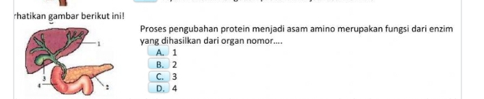 rhatikan gambar berikut ini!
Proses pengubahan protein menjadi asam amino merupakan fungsi dari enzim
yang dihasilkan dari organ nomor....
A. 1
B. 2
C. 3
D. 4