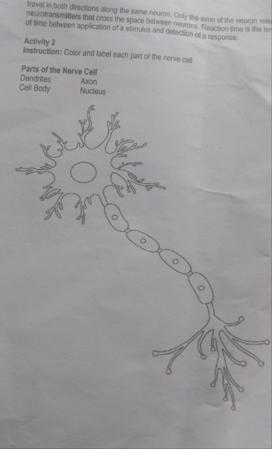 travel in both directions along the same neuron. Only the axon of the neuron rele 
neurotransmitters that cross the space between neurons. Reaction time is the ler 
of time between application of a stimulus and detection of a response. 
Activity 2 
Instruction: Color and label each part of the nerve cell 
Parts of the Nerve Cell 
Dendrites Axon 
Cell Body Nucleus