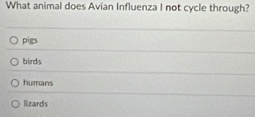 What animal does Avian Influenza I not cycle through?
pigs
birds
humans
llzards