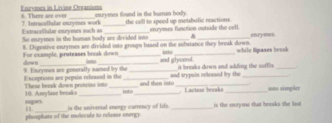 Enzvmes in Living Organisms 
6. There are over _enzymes found in the human body. 
7. Intracellular enzymes work _the cell to speed up metabolic reactions. 
Extracellular enzymes such as _enzymes function outside the cell. 
So enzymes in the human body are divided into _& _enzymes. 
8. Digestive enzymes are divided into groups based on the substance they break down. 
For example, proteases break down_ into _while lipases break 
down _into _and glycerol. 
9. Enzymes are generally named by the _it breaks down and adding the suffix _. 
Exceptions are pepsin released in the _and trypsin released by the _. 
These break down proteins into _and then into_ 
10. Amylase breaks _into _. Lactase breaks _into simpler 
sugars. 
11. _is the universal energy currency of life. _is the enzyme that breaks the last 
phosphate of the molecule to release energy.