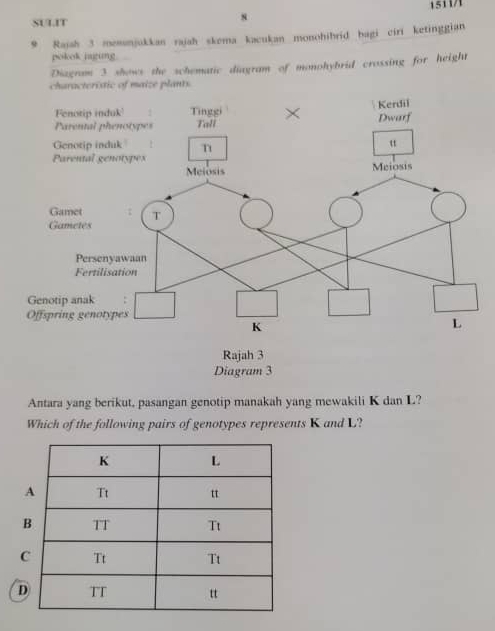 1511/1
SULIT
s
9 Rajah 3 memənjukkan rajah skema kacukan monohihrid bagi ciri ketinggian
pokok jaging.
Diagram 3 shows the schematic diagram of monohybrid crossing for height
Antara yang berikut, pasangan genotip manakah yang mewakili K dan L?
Which of the following pairs of genotypes represents K and L?
D