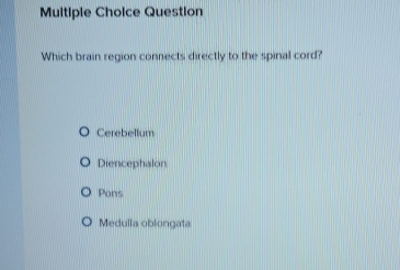 Question
Which brain region connects directly to the spinal cord?
Cerebellum
Diencephalon
Pons
Medulla oblongata