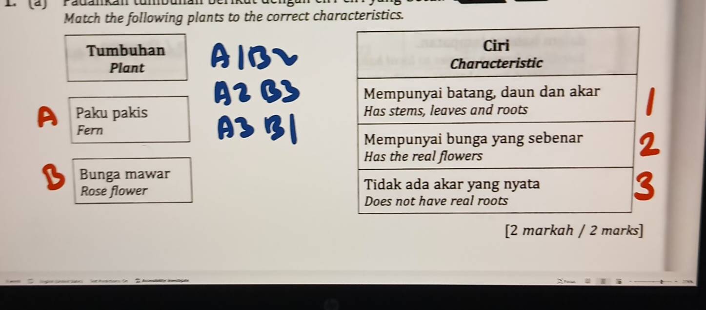 2 (2) radankan tumbun 
Match the following plants to the correct characteristics. 
Tumbuhan A1B
Plant 
A2 B3 
Paku pakis 
Fern A3 B1 
Bunga mawar 
Rose flower 
[2 markah / 2 marks]