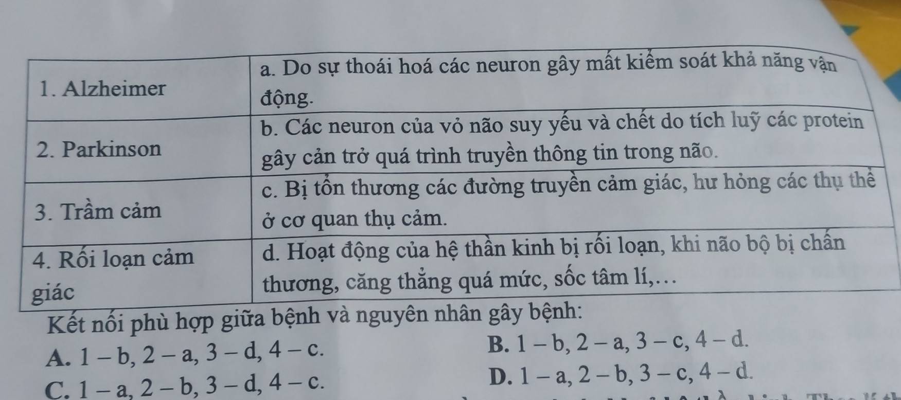 Kết nổi phù hợp giữa b
A. 1-b, 2-a, 3-d, 4-c.
B. 1-b, 2-a, 3-c, 4-d.
C. 1-a, 2-b, 3-d, 4-c.
D. 1-a, 2-b, 3-c, , 4-d.