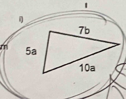 1
i
7b
m 5a
10a