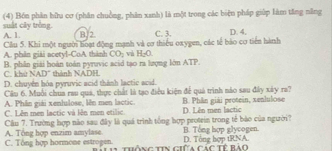 (4) Bón phân hữu cơ (phân chuồng, phân xanh) là một trong các biện pháp giúp làm tăng năng
suất cây trông.
A. 1. B. 2. C. 3. D. 4.
Câu 5. Khi một người hoạt động mạnh và cơ thiếu oxygen, các tế bào cơ tiến hành
A. phân giải acetyl-CoA thành CO_2 và H_2O.
B. phân giải hoàn toản pyruvic acid tạo ra lượng lớn ATP.
C. khứ NAD" thành NADH.
D. chuyển hóa pyruvic acid thành lactic acid.
Câu 6. Muối chua rau quả, thực chất là tạo điều kiện để quá trình nào sau đây xây ra?
A. Phân giải xenhilose, lên men lactic. B. Phân giải protein, xenlulose
C. Lên men lactic và lên men etilic. D. Lên men lactic
Câu 7. Trường hợp nào sau đây là quá trình tổng hợp protein trong tế bảo của người?
A. Tổng hợp enzim amylase. B. Tổng hợp glycogen.
C. Tổng hợp hormone estrogen. D. Tổng hợp tRNA.
thông tin giữa Các Tế Bảo