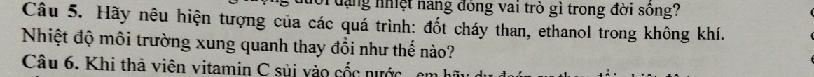 dạng nhiệt nang đóng vai trò gì trong đời sông? 
Câu 5. Hãy nêu hiện tượng của các quá trình: đốt cháy than, ethanol trong không khí. 
Nhiệt độ môi trường xung quanh thay đổi như thế nào? 
Câu 6. Khi thà viên vitamin C sủi vào cốc nước, en