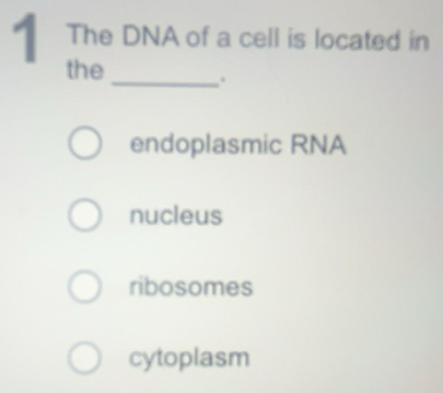 Solved: The DNA of a cell is located in the_ . endoplasmic RNA nucleus ...