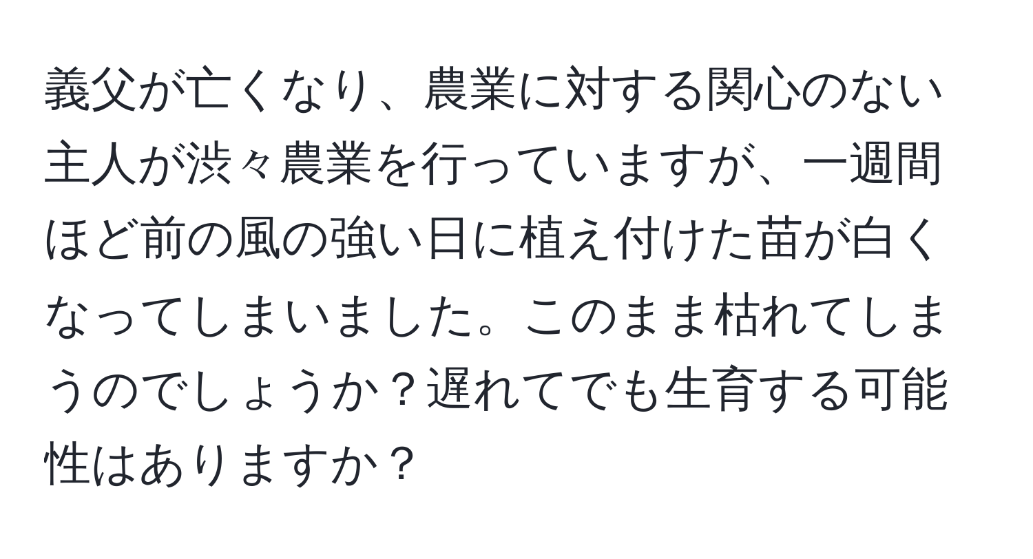 義父が亡くなり、農業に対する関心のない主人が渋々農業を行っていますが、一週間ほど前の風の強い日に植え付けた苗が白くなってしまいました。このまま枯れてしまうのでしょうか？遅れてでも生育する可能性はありますか？