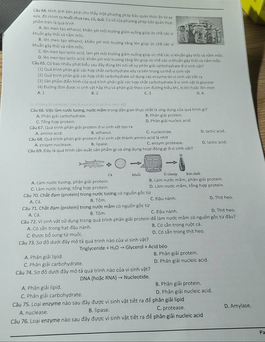 Hình ảnh bên phải cho thấy một phương pháp bảo quản thức ăn từ xa
xưa, đó chính ta muối chua rau, củ, quả. Cơ sở của phương pháp bảo quản thực
phẩm trên là quá trình
A. lên men tạo ethanol, khiến pH môi trường giảm xuống giúp ức chế các v
khuẩn gây thối và nắm mốc.
B. lên men tạo ethanol, khiến pH môi trường tăng lên giúp ức chế các v
khuẩn gây thối và nắm mốc.
C. lên men tạo lactic acid, làm pH môi trường giảm xuống giúp ức chế các vi khuẩn gây thối và nằm mốc.
D. lên men tạo lactic acid, khiến pH môi trường tăng lên giúp ức chế các vi khuẩn gây thối và nắm mốc.
Câu 65. Có bao nhiêu phát biểu sau đây đúng khi nói về sự phân giải carbohydrate ở vi sinh vật?
(1) Quá trình phân giải các hợp chất carbohydrate xảy ra bên trong cơ thể vi sinh vật
(2) Quá trình phân giải các hợp chất carbohydrate sử dụng các enzyme do vi sinh vật tiết ra
(3) Sản phẩm điển hình của quá trình phân giải các hợp chất carbohydrate ở vi sinh vật là glucose
(4) Đường đơn được vi sinh vật hấp thụ và phân giải theo con đường hiếu khí, kị khí hoặc lên men
A. 1 B. 2 C. 3 D. 4.
b. Phân giải protein, lipid & nurleic acid ở vị sinh vật
Câu 66. Việc làm nước tương, nước mắm trong dân gian thực chất là ứng dụng của quá trình gì?
A. Phân giải carbohydrate. B. Phân giải protein.
C. Tổng hợp protein. D. Phân giải nucleic acid.
Câu 67. Quá trình phân giải protein ở vi sinh vật tạo ra
A. amino acid. B. ethanol. C. nucleotide. D. lactic acid.
Câu 68. Quá trình phân giải protein ở vi sinh vật thành amino acid là nhờ
A. enzym nuclease. B. lipase. C. enzym protease. D. lactic acid.
Câu 69. Đây là quá trình sản xuất sản phẩm gì và ứng dụng hoạt động gì ở vi sinh vật?
Cá Muỗi Ủ chượp Rút chiết
A. Làm nước tương, phân giải protein. B. Làm nước mắm, phân giải protein.
C. Làm nước tương, tổng hợp protein. D. Làm nước mắm, tổng hợp protein.
Câu 70. Chất đạm (protein) trong nước tương có nguồn gốc từ
A. Cá. B. Tôm. C. Đậu nành. D. Thịt heo.
Câu 71. Chất đạm (protein) trong nước mắm có nguồn gốc từ D. Thịt heo.
A. Cá. B. Tôm.  C. Đậu nành.
Câu 72. Vi sinh vật sử dụng trong quá trình phân giải protein để làm nước mắm có nguồn gốc từ đâu?
A. Có sẵn trong hạt đậu nành. B. Có sẵn trong ruột cá.
C. Được bổ sung từ muối. D. Có sẵn trong thịt heo.
Câu 73. Sơ đồ dưới đây mô tả quá trình nào của vi sinh vật?
Triglyceride + H₂O → Glycerol + Acid béo
A. Phân giải lipid. B. Phân giải protein.
C. Phân giải carbohydrate. D. Phân giải nucleic acid.
Câu 74. Sơ đồ dưới đây mô tả quá trình nào của vi sinh vật?
DNA (hoặc RNA) → Nucleotide.
A. Phân giải lipid. B. Phân giải protein.
C. Phân giải carbohydrate. D. Phân giải nucleic acid.
Câu 75. Loại enzyme nào sau đây được vi sinh vật tiết ra để phân giải lipid
A. nuclease. B. lipase. C. protease.
D. Amylase.
Câu 76. Loại enzyme nào sau đây được vi sinh vật tiết ra để phân giải nucleic acid
Pa