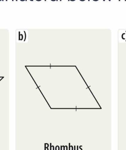 Rhombus