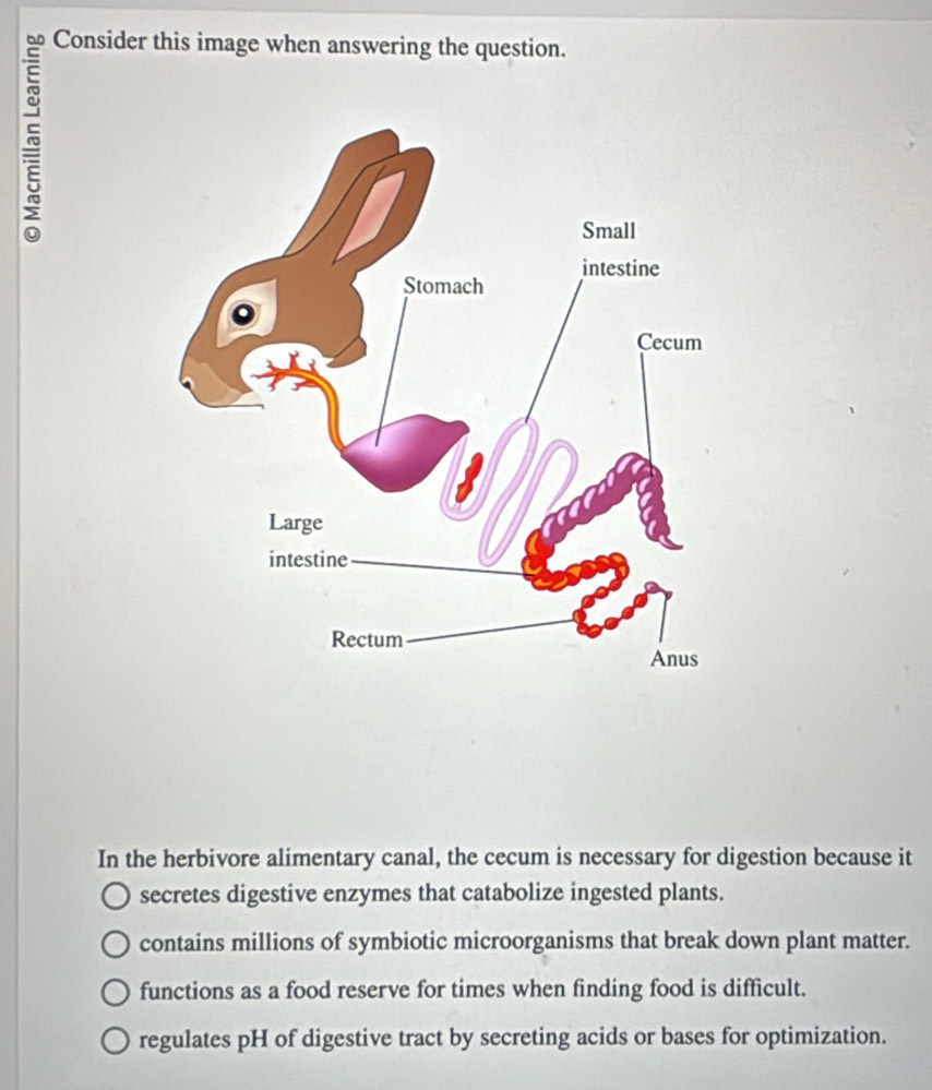 Consider this image when answering the question.
In the herbivore alimentary canal, the cecum is necessary for digestion because it
secretes digestive enzymes that catabolize ingested plants.
contains millions of symbiotic microorganisms that break down plant matter.
functions as a food reserve for times when finding food is difficult.
regulates pH of digestive tract by secreting acids or bases for optimization.