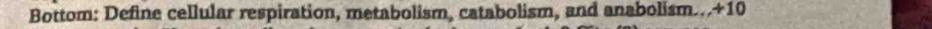 Bottom: Define cellular respiration, metabolism, catabolism, and anabolism... +10