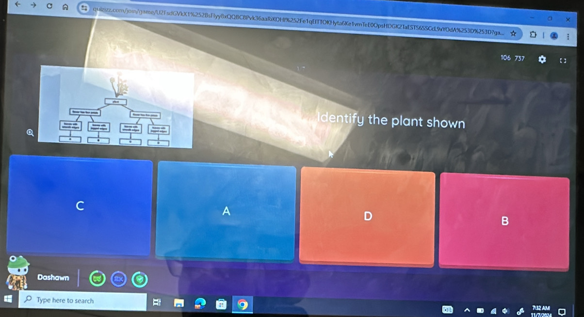 quizizz.com/joi/game/U2FsdGVkX1%252BsFlyy8xQQBC8Pvk36aaRiKOHI%252Fe1qEITTOKHyta6Ke1vmTeE0OpsHDGK2TaESTS6SSCcL9xYOdA%253D%253D?ga.. 
106 737 
I dentify the plant shown 
A 
B 
Dashawn 
Type here to search 
B2 A
