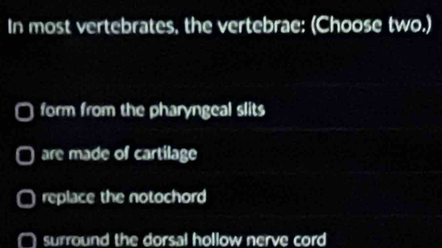 In most vertebrates, the vertebrae: (Choose two.)
form from the pharyngeal slits
are made of cartilage
replace the notochord
surround the dorsal hollow nerve cord