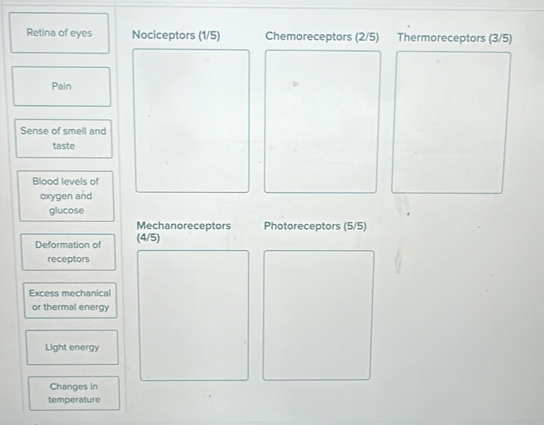 Retina of eyes Nociceptors (1/5) Chemoreceptors (2/5) Thermoreceptors (3/5)
Pain 
Sense of smell and 
taste 
Blood levels of 
oxygen and 
glucose 
Mechanoreceptors Photoreceptors (5/5)
Deformation of (4/5)
receptors 
Excess mechanical 
or thermal energy 
Light energy 
Changes in 
temperature