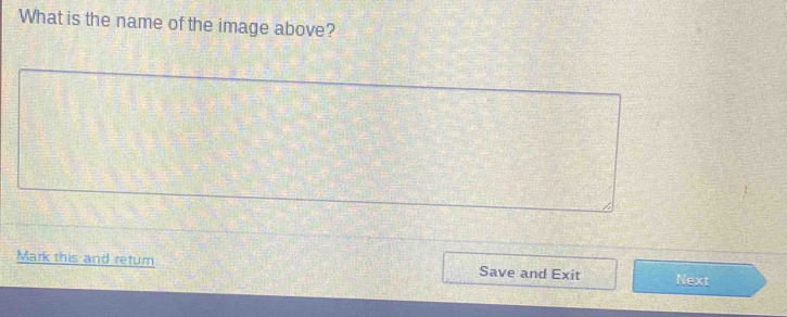 What is the name of the image above? 
Mark this and return Save and Exit Next