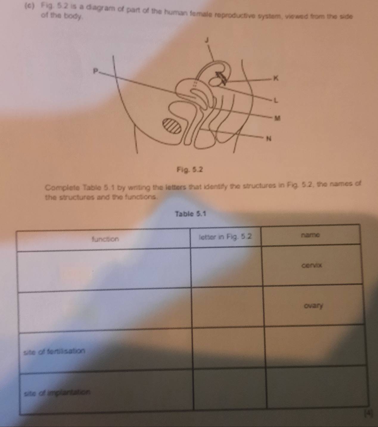 Fig. 5.2 is a diagram of part of the human female reproductive system, viewed from the side 
of the body. 
Fig. 5.2 
Complete Table 5.1 by writing the letters that identify the structures in Fig. 5.2, the names of 
the structures and the functions. 
Table 5.1
4