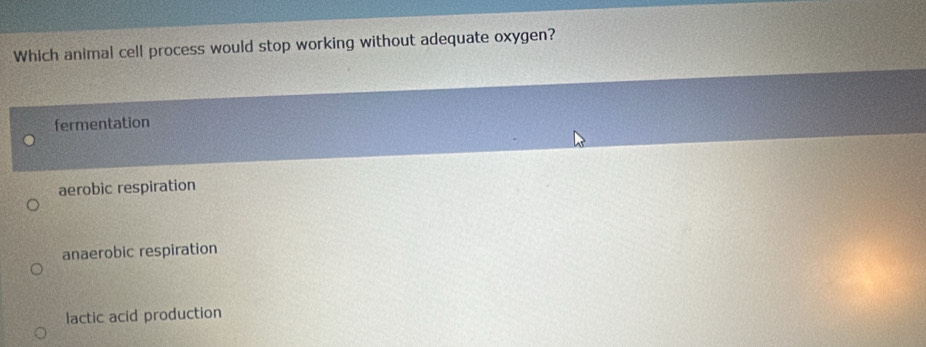 Which animal cell process would stop working without adequate oxygen?
fermentation
aerobic respiration
anaerobic respiration
lactic acid production