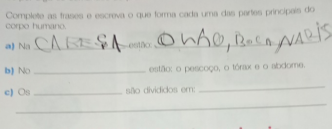 Complete as frases e escreva o que forma cada uma das partes principais do 
corpo humano. 
a) Na _estão: 
_ 
b) No _estão: o pescoço, o tórax e o abdome. 
c) Os _são divididos em: 
_ 
__ 
_