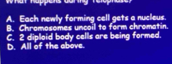 What happers during relophase
A. Each newly forming cell gets a nucleus.
B. Chromosomes uncoil to form chromatin.
C. 2 diploid body cells are being formed.
D. All of the above.