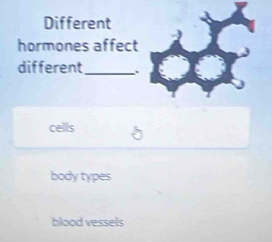 Different
hormones affect
different_
cells
body types
blood vessels