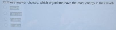 Of these answer choices, which organisms have the most energy in their level?
Ha 120°
11x^2=□ 
overline a,123,-overline x-2
sqrt(3]3+5)sqrt(25)