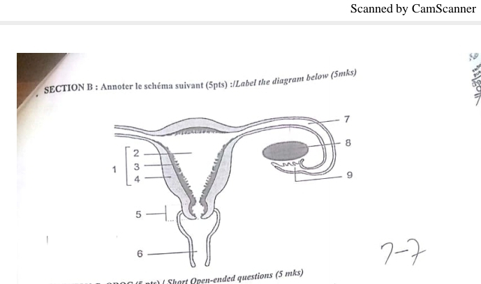 Scanned by CamScanner 
19 
SECTION B : Annoter le schéma suivant (5pts) :/Label the diagram below (5mks) 
Shart Open-ended questions (5 mks)