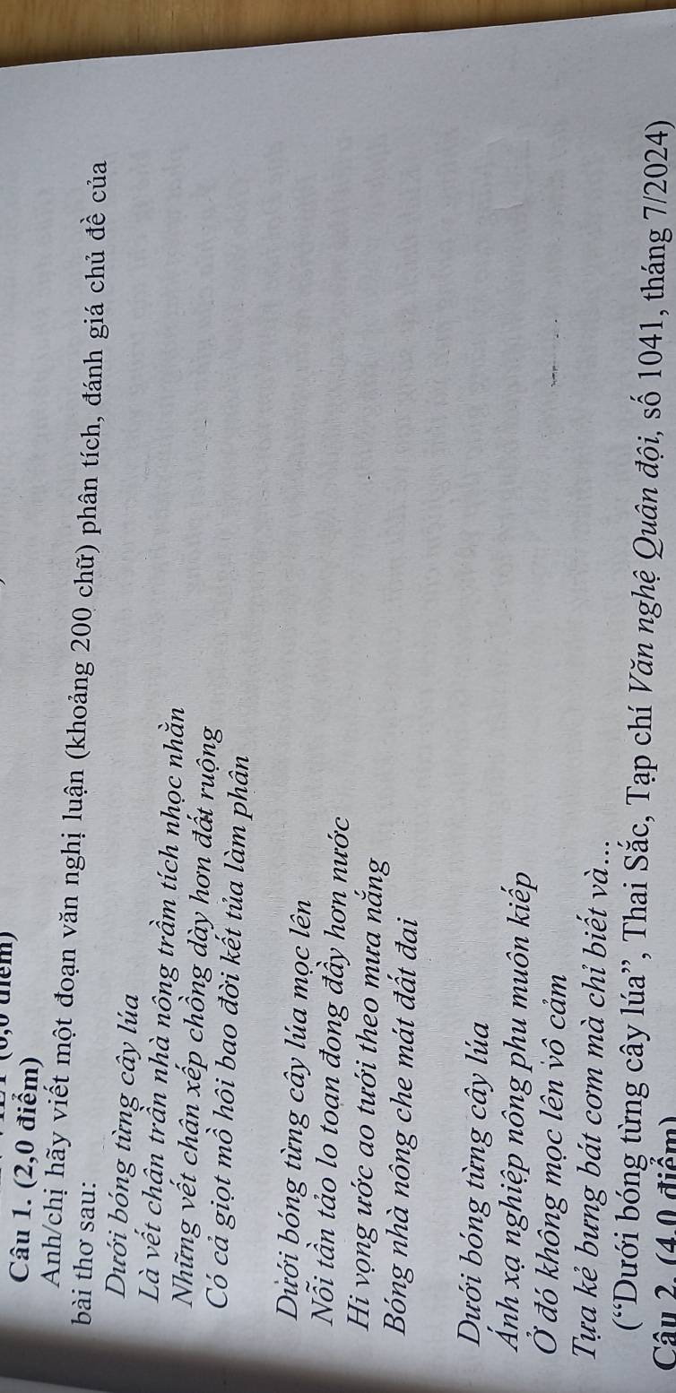 (0,0 tểm) 
Câu 1. (2,0 điểm) 
Anh/chị hãy viết một đoạn văn nghị luận (khoảng 200 chữ) phân tích, đánh giá chủ đề của 
bài thơ sau: 
Dưới bóng từng cây lúa 
Là vết chân trần nhà nông trầm tích nhọc nhằn 
Những vết chân xếp chồng dày hơn đất ruộng 
Có cả giọt mồ hôi bao đời kết tủa làm phân 
Dừới bóng từng cây lúa mọc lên 
Nỗi tần tảo lo toạn đong đầy hơn nước 
Hi vọng ước ao tưới theo mưa năng 
Bóng nhà nông che mát đất đai 
Dưới bóng từng cây lúa 
Ảnh xạ nghiệp nông phu muôn kiếp 
Ở đó không mọc lên vô cảm 
Tựa kẻ bưng bát cơm mà chỉ biết và... 
(“Dưới bóng từng cây lúa”, Thai Sắc, Tạp chí Văn nghệ Quân đội, số 1041, tháng 7/2024) 
Câu 2. (4.0 điểm)