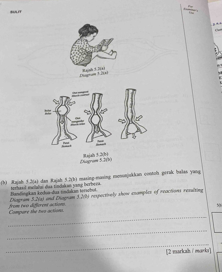 For 
Examiner's Use 
SULIT 
y a k 
Class 
H s 
Diagram 5.2(a) Rajah 5.2(a)
M
F 
(b) Rajah 5.2(a) dan Rajah 5.2(b) masing-masing menunjukkan contoh gerak balas yang 
terhasil melalui dua tindakan yang berbeza. 
Bandingkan kedua-dua tindakan tersebut. 
Diagram 5.2(a) and Diagram 5.2(b) respectively show examples of reactions resulting 
from two different actions. 5(b 
_ 
Compare the two actions. 
_ 
_ 
[2 markah / marks]