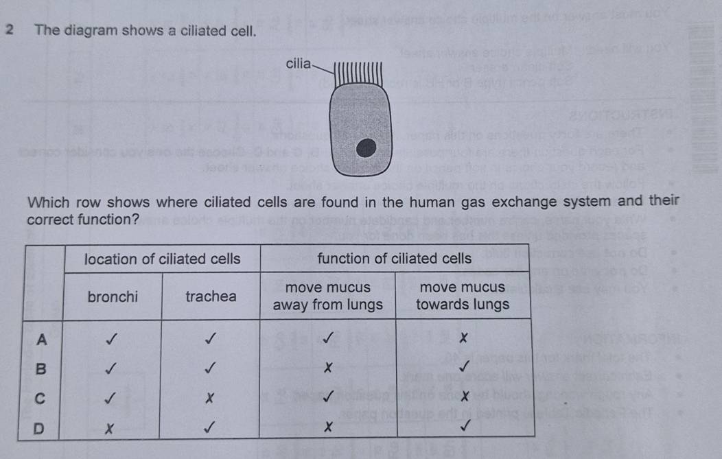 The diagram shows a ciliated cell. 
Which row shows where ciliated cells are found in the human gas exchange system and their 
correct function?