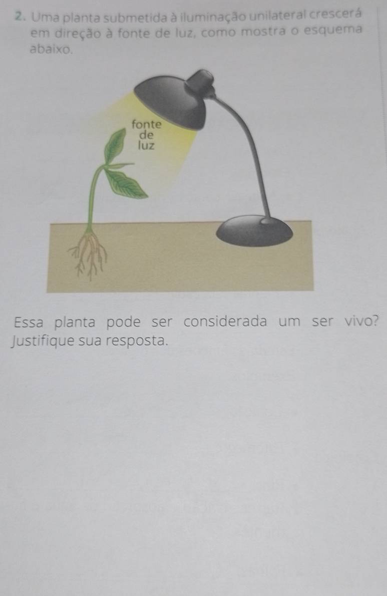 Uma planta submetida à iluminação unilateral crescerá 
em direção à fonte de luz, como mostra o esquema 
abaixo. 
Essa planta pode ser considerada um ser vivo? 
Justifique sua resposta.