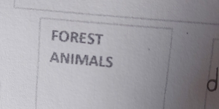 FOREST 
ANIMALS