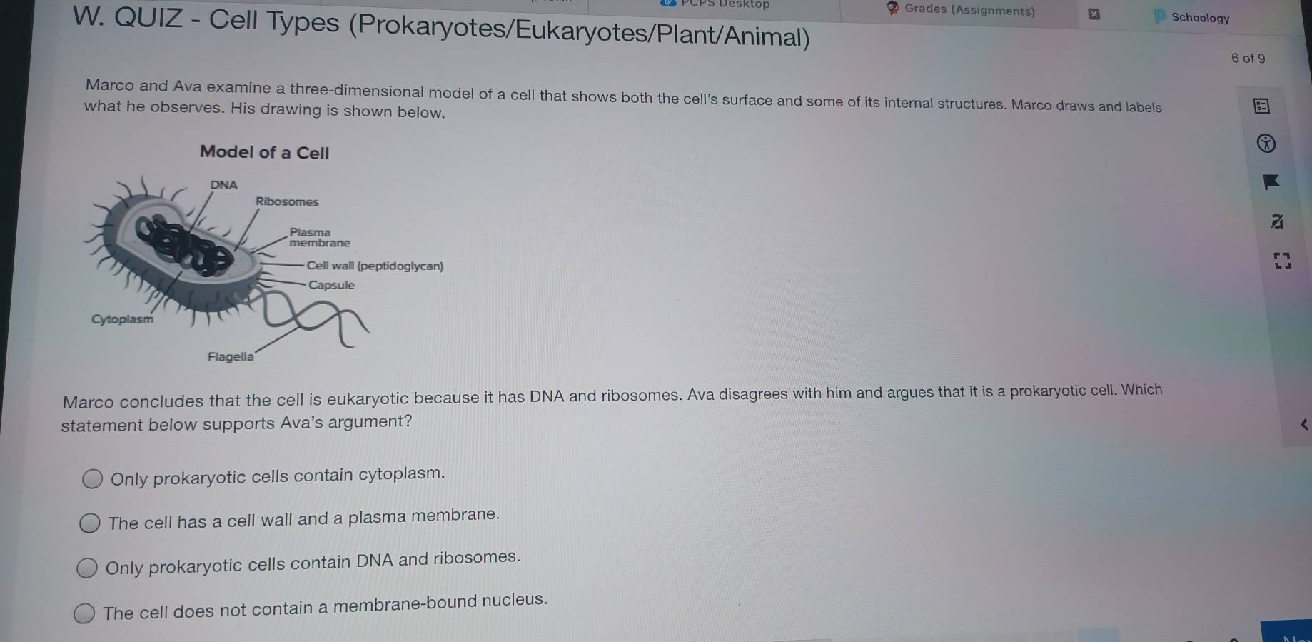 Ø Grades (Assignments) Schoology
W. QUIZ - Cell Types (Prokaryotes/Eukaryotes/Plant/Animal)
6 of 9
Marco and Ava examine a three-dimensional model of a cell that shows both the cell's surface and some of its internal structures. Marco draws and labels
what he observes. His drawing is shown below.
Marco concludes that the cell is eukaryotic because it has DNA and ribosomes. Ava disagrees with him and argues that it is a prokaryotic cell. Which
statement below supports Ava's argument? Only prokaryotic cells contain cytoplasm.
The cell has a cell wall and a plasma membrane.
Only prokaryotic cells contain DNA and ribosomes.
The cell does not contain a membrane-bound nucleus.