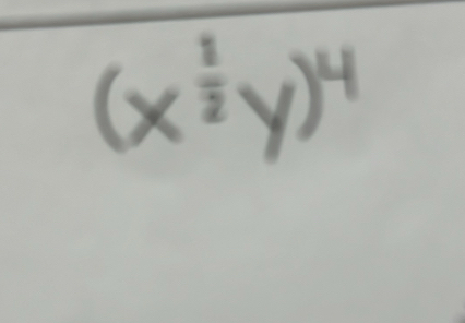 (x^(frac 1)2y)^4