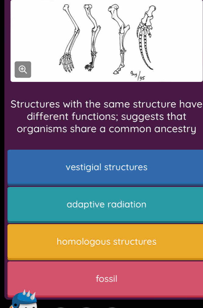 4/95
Structures with the same structure have
different functions; suggests that
organisms share a common ancestry
vestigial structures
adaptive radiation
homologous structures
fossil