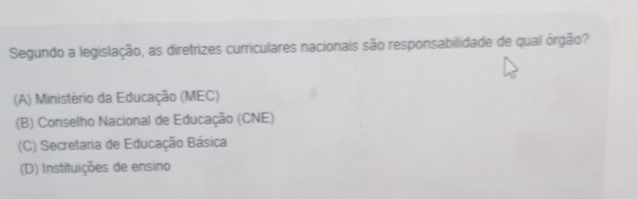 Segundo a legislação, as diretrizes curriculares nacionais são responsabilidade de qual órgão?
(A) Ministério da Educação (MEC)
(B) Conselho Nacional de Educação (CNE)
(C) Secretaria de Educação Básica
(D) Instituições de ensino