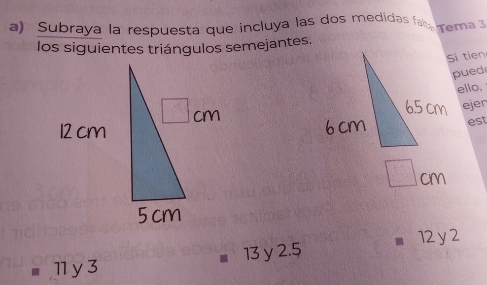 Subraya la respuesta que incluya las dos medidas falta Tema 3
los siguientes triángulos semejantes.
Si tien
pued
ello,
ejen
est
12 y 2
13 y 2.5
11 y3