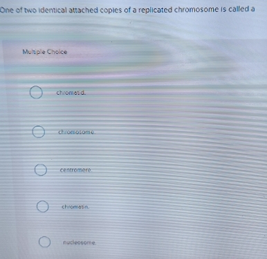 One of two identical attached copies of a replicated chromosome is called a
Multiple Choice
chromatid.
chronlosome.
centromere
chromatin.
nucleosome.